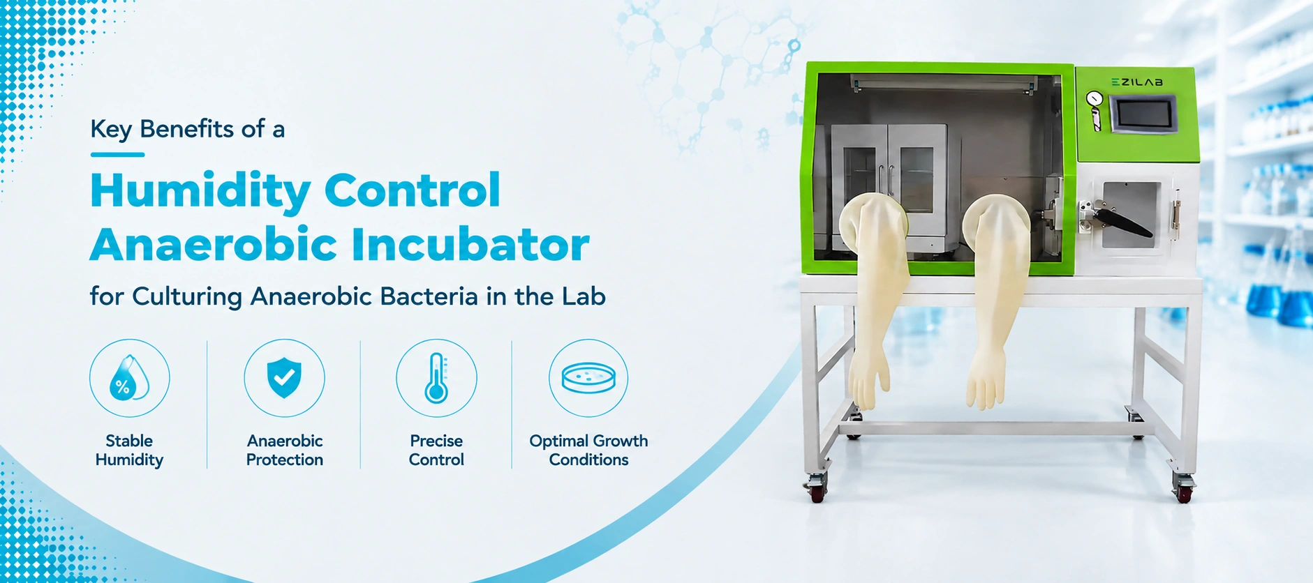 Key Benefits of a Humidity Control Anaerobic Incubator for Culturing Anaerobic Bacteria in the Lab