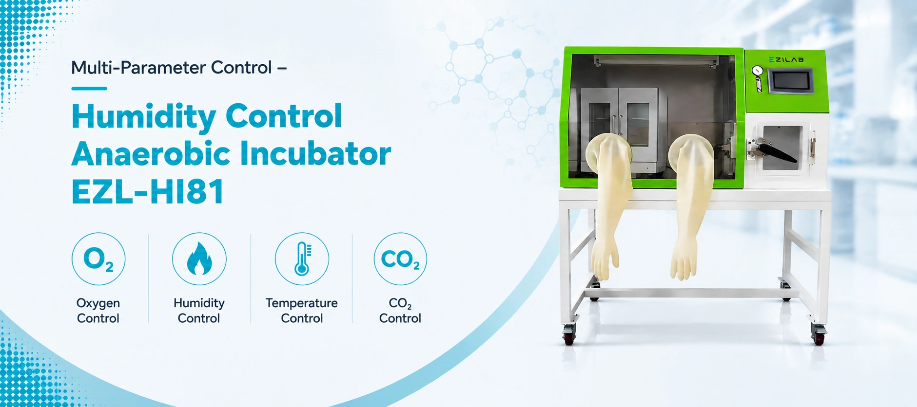 Anaerobic Incubator EZL HI81  Advantages Oxygen Humidity Temperature and CO2 Control
