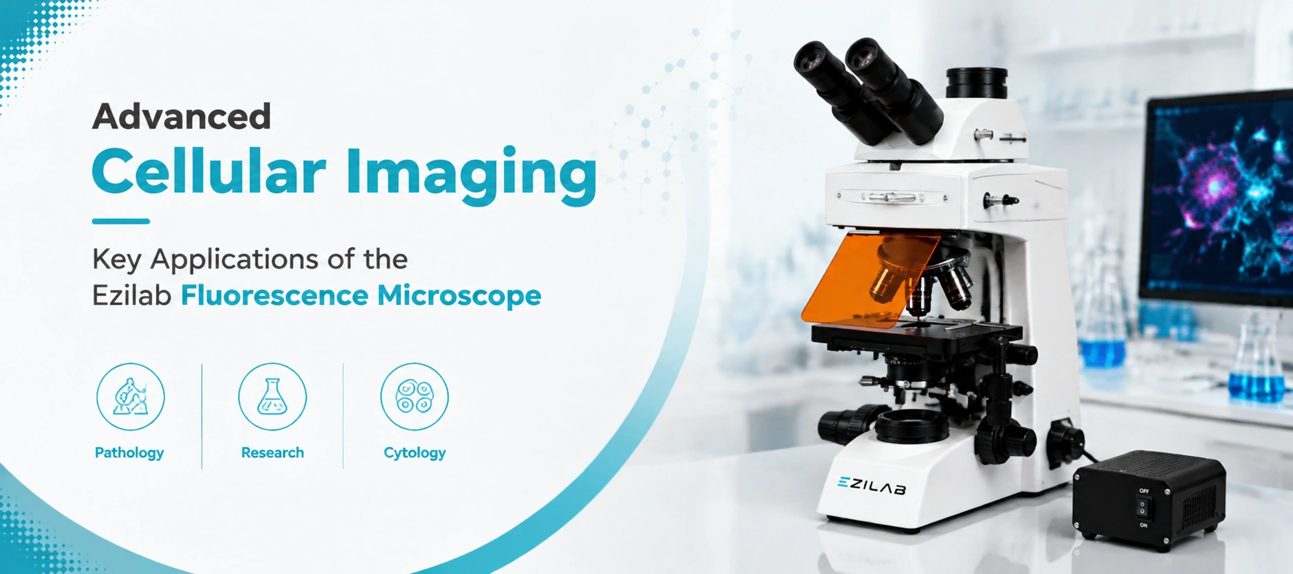 Ezilab Fluorescence Microscope Applications in Pathology Research and Cytology