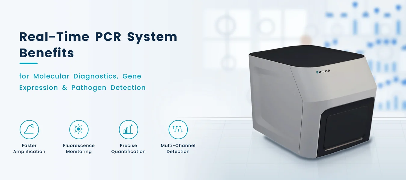 Real Time PCR Faster Amplification  Precise Monitoring